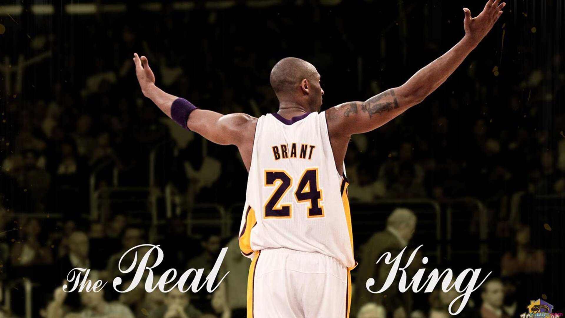 自由泳短程韩国突破个人纪录，自由泳韩国教学视频